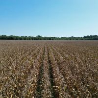 LA - Franklin 176 acres -