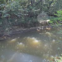 LA - Franklin 176 acres - images 5