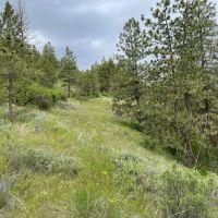 Welch Creek Road images 3