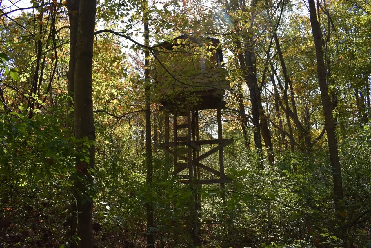 Big Buck Country Hunting Land for Sale