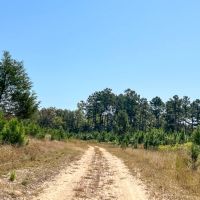 1 726 Acres Neches River Front images 2