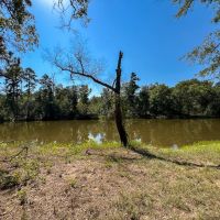1 726 Acres Neches River Front images 3