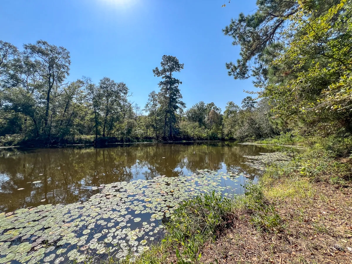 1 726 Acres Neches River Front Hunting Land for Sale HuntingLocator