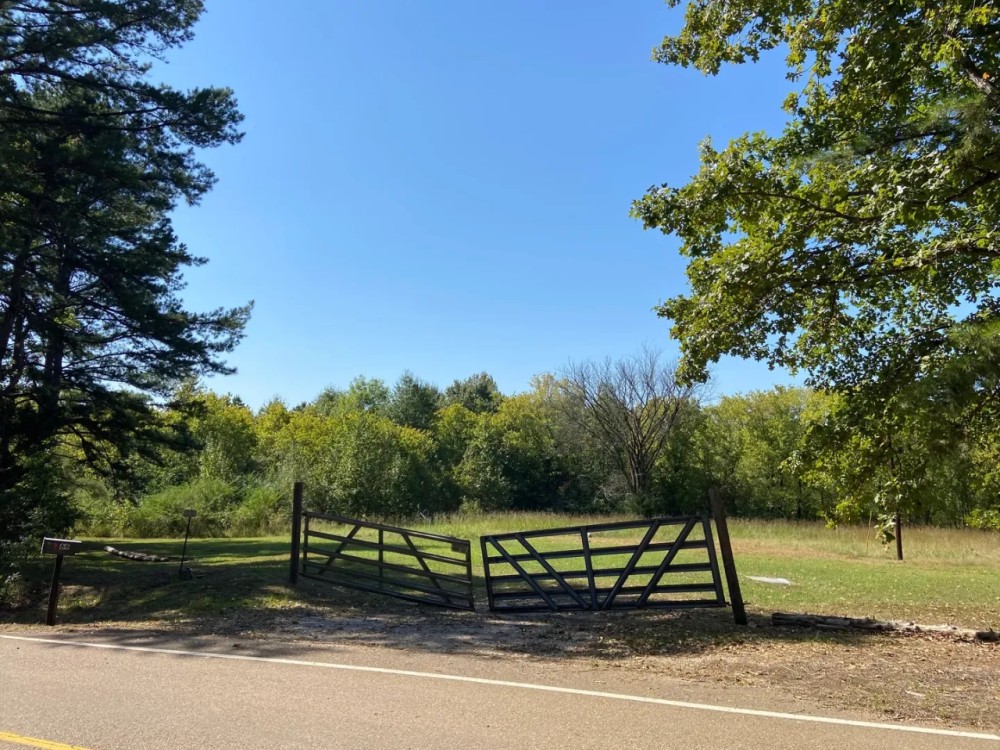 84.5 Acres in Lafayette County MS featured image
