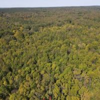 84.5 Acres in Lafayette County MS images 2