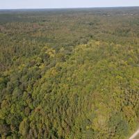 84.5 Acres in Lafayette County MS images 3