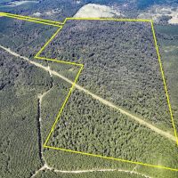 205 Acres Highway 59