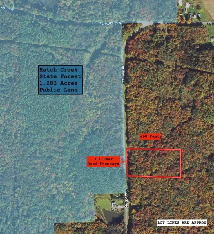 5 acre Building Lot and Hunting Land across from State Land in Gerry NY