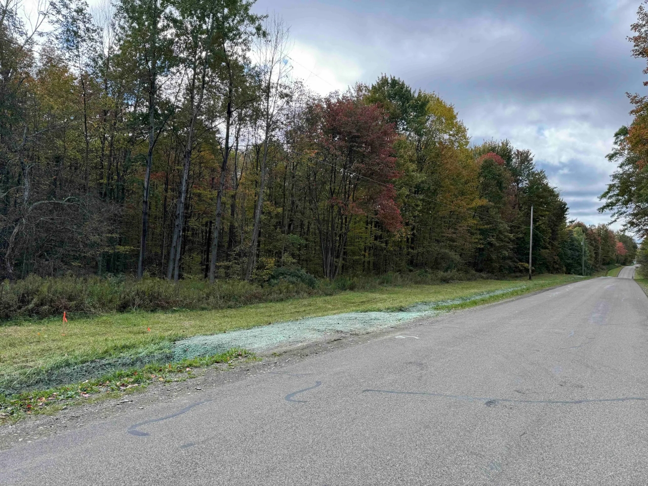 5 acre Building Lot and Hunting Land across from State Land in Gerry NY