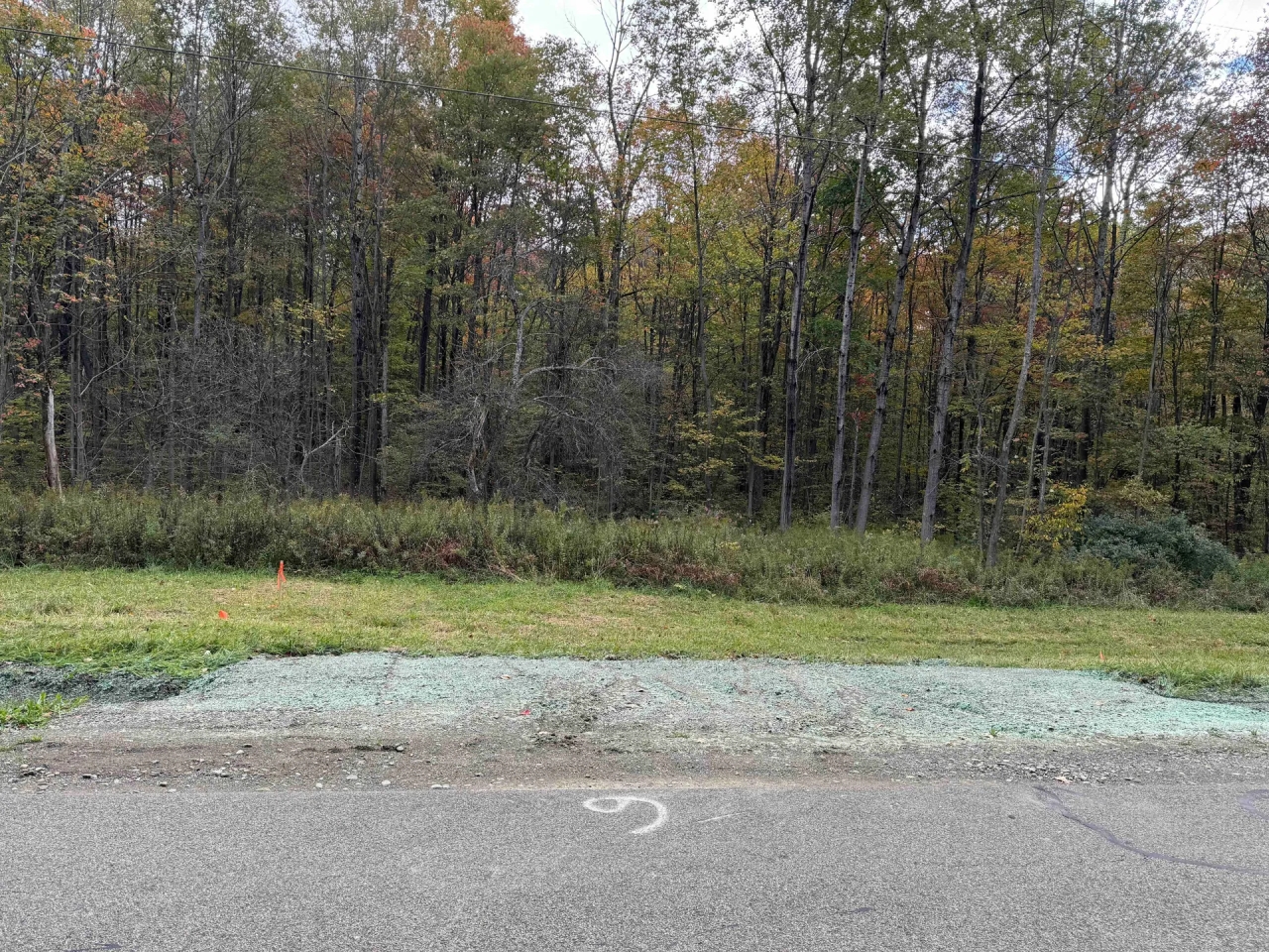 5 acre Building Lot and Hunting Land across from State Land in Gerry NY