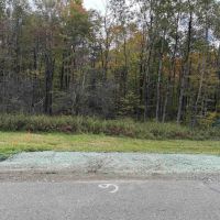 5 acre Building Lot and Hunting Land across from State Land in Gerry NY Herrick Rd images 5