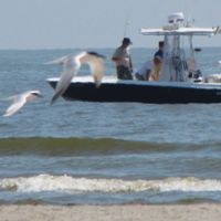 Waterfowl Hunting Breton NWR of 13,000 Acres in Venice, LA images 5