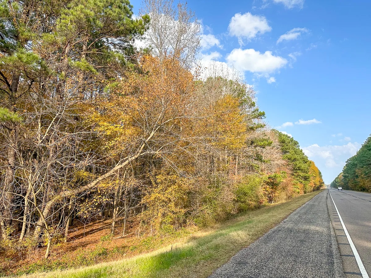 463 Acres Hwy 67 Maya 1003 Hunting Land for Sale