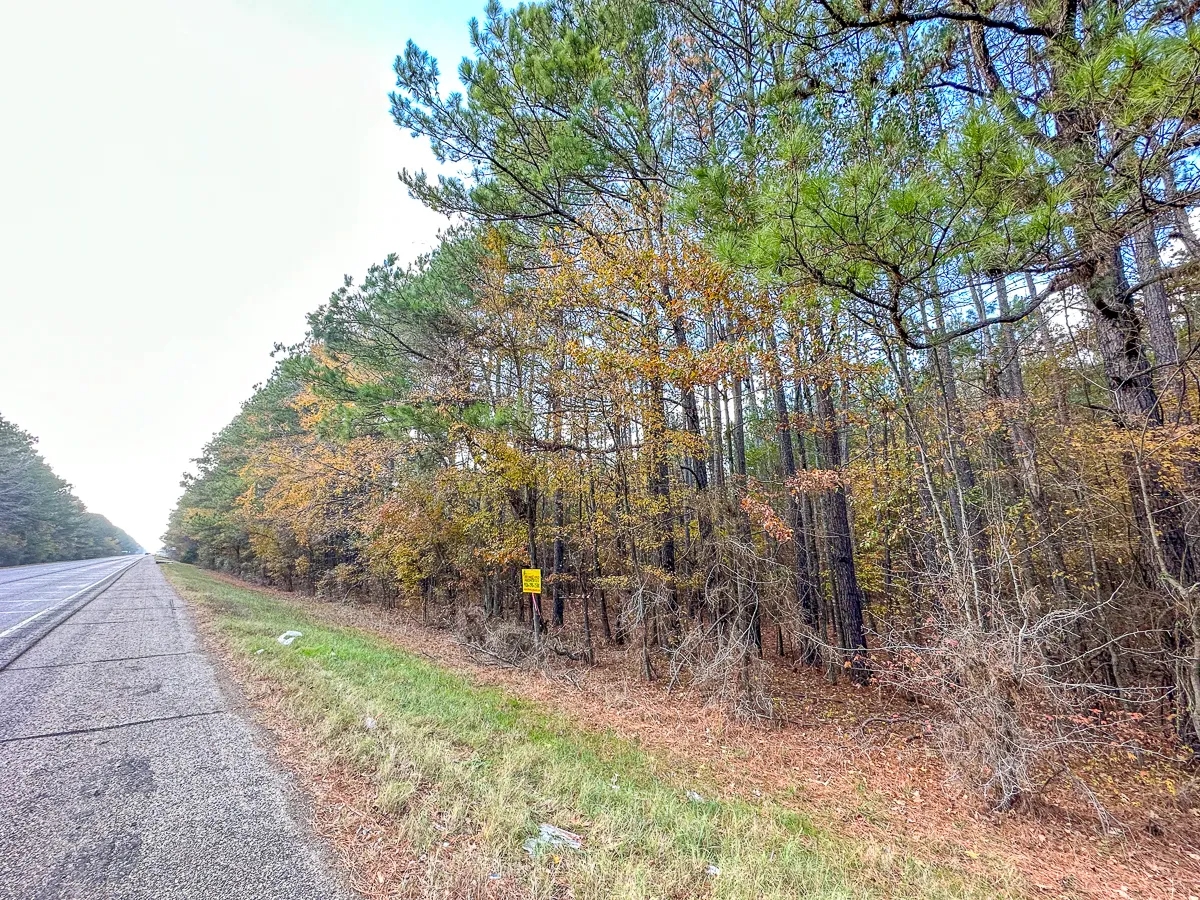 463 Acres Hwy 67 Maya 1003 Hunting Land for Sale