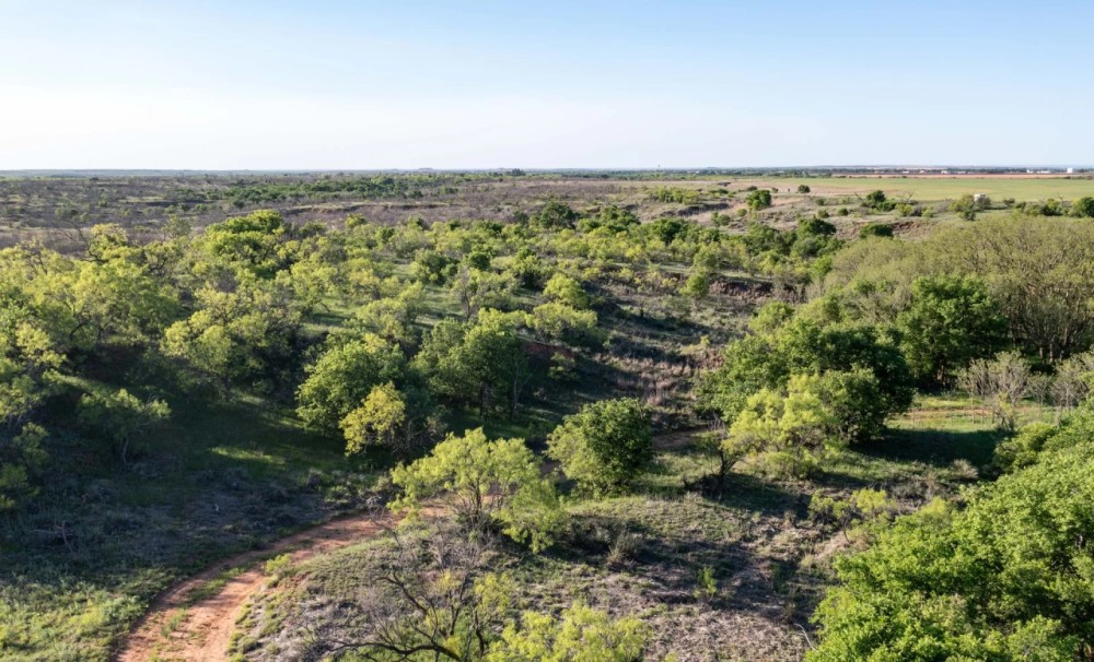 408 acre Hunting and Cattle Ranch featured image
