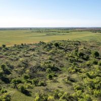 408 acre Hunting and Cattle Ranch images 5