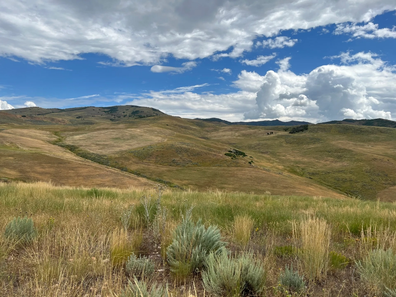 East Canyon Ranch Hunting Land for Sale