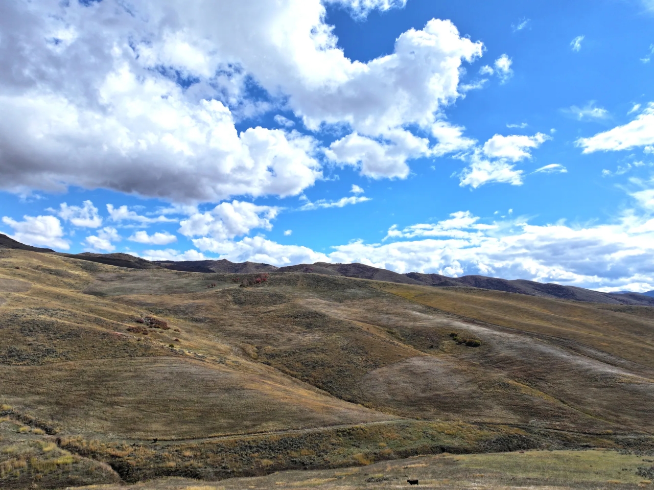 East Canyon Ranch Hunting Land for Sale