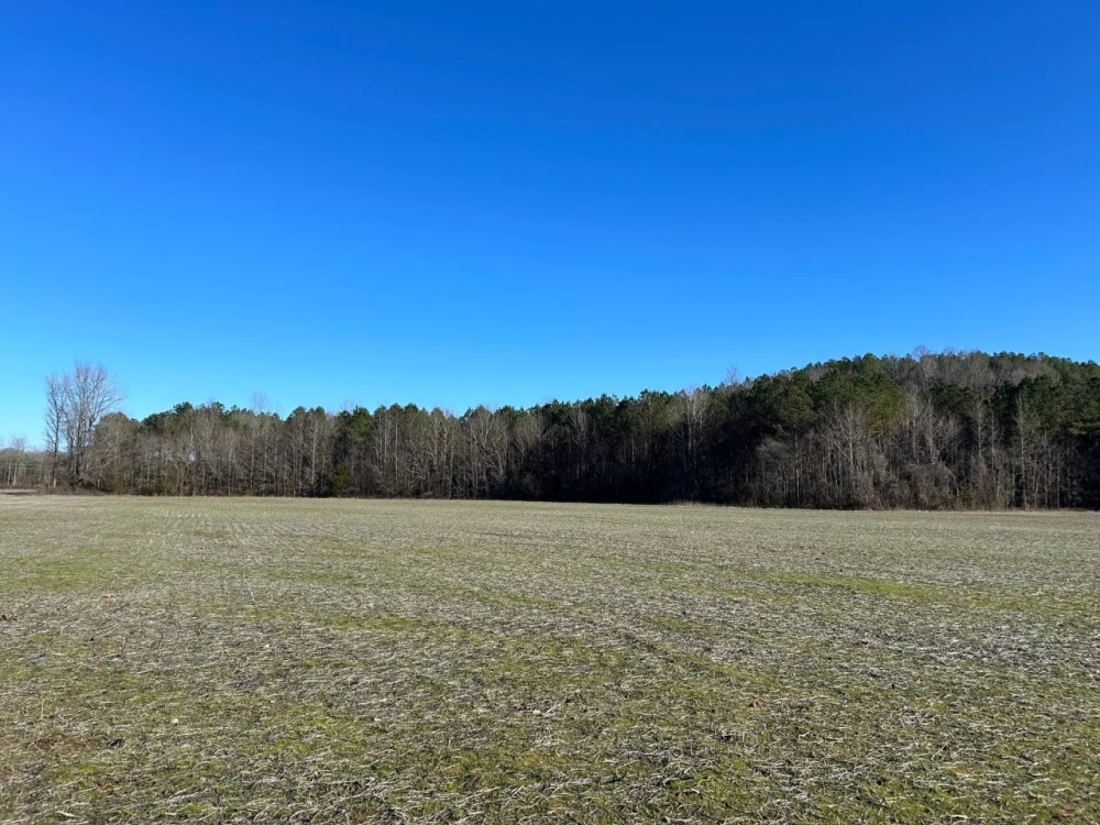 48 Acres in Lafayette County MS featured image