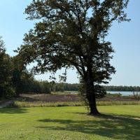ONE EQUITY SHARE at Wilderness West in Holmes Carroll Counties in MS images 4