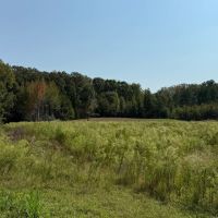 ONE EQUITY SHARE at Wilderness West in Holmes Carroll Counties in MS images 5