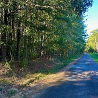 Smithdale MS 80 - Acres For Sale images 3