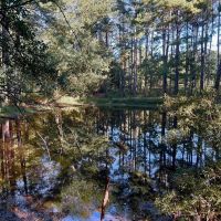 Smithdale MS 80 - Acres For Sale images 5