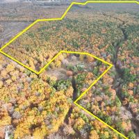 265 Acres CR 4223 Tract 1005