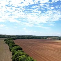 Farm For Sale 585 Acres Bray Stephens County Oklahoma. images 4