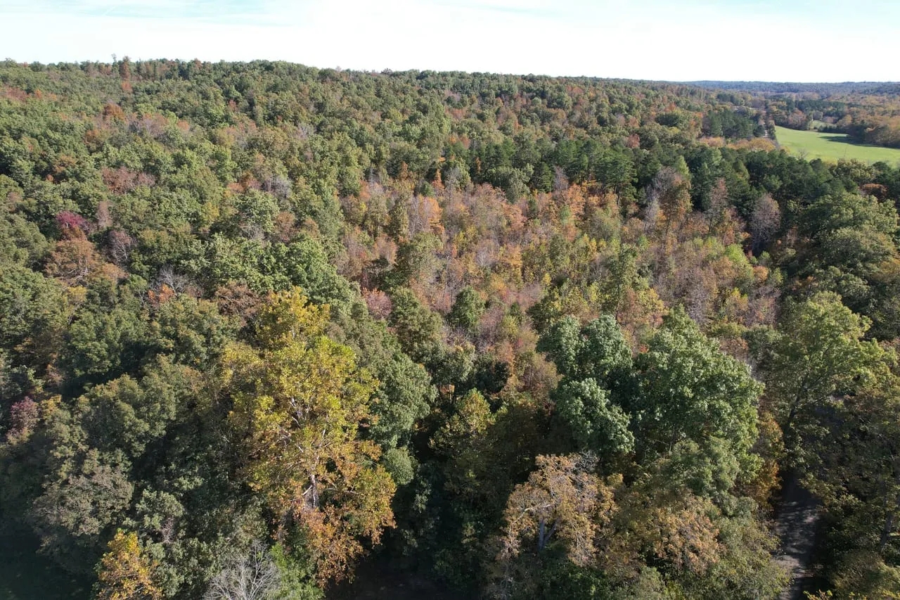 Green Teal Lane 60 Hunting Land for Sale