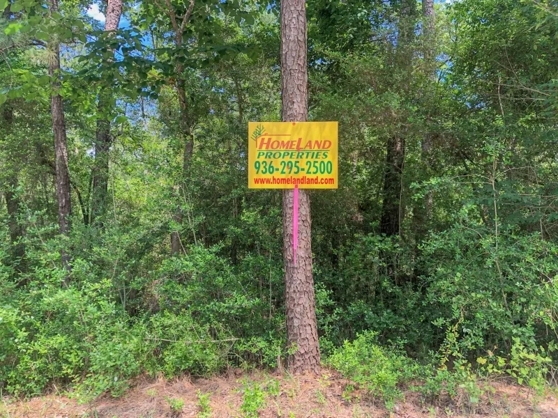 388 Acres Lost Indian Camp Road Tract 5302 Hunting Land for Sale