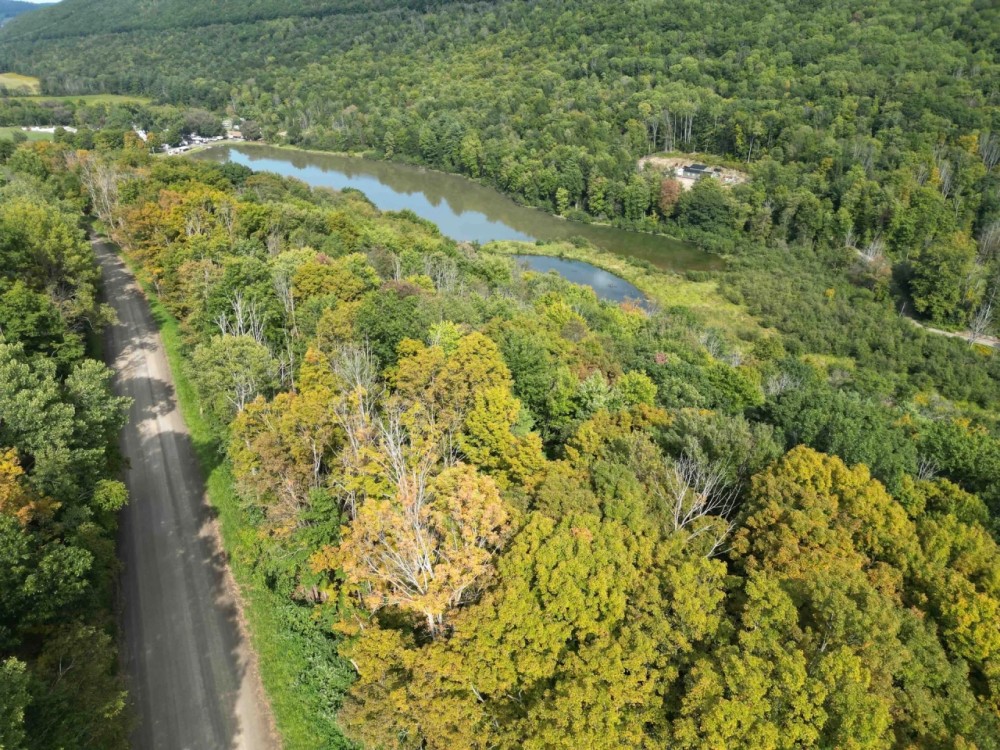 17 acres Wooded Hunting Land and Building Lot in Bath NY Harrison Road featured image