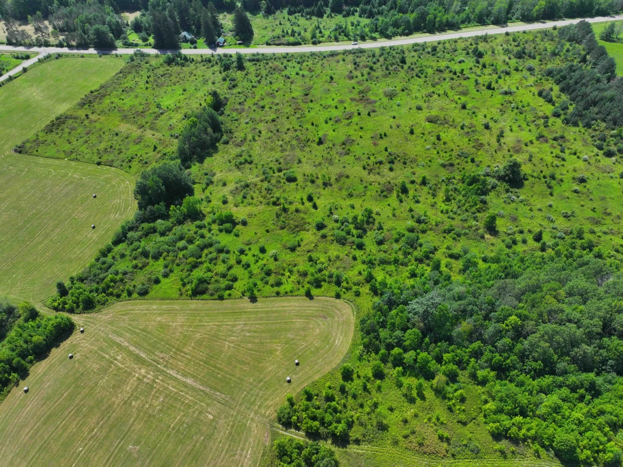 4.3 acres Hunting Land and Recreational Land in Friendship NY White