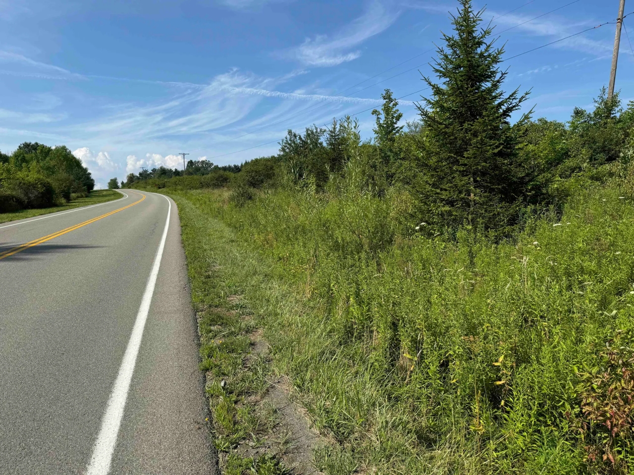 4.3 acres Hunting Land and Recreational Land in Friendship NY White