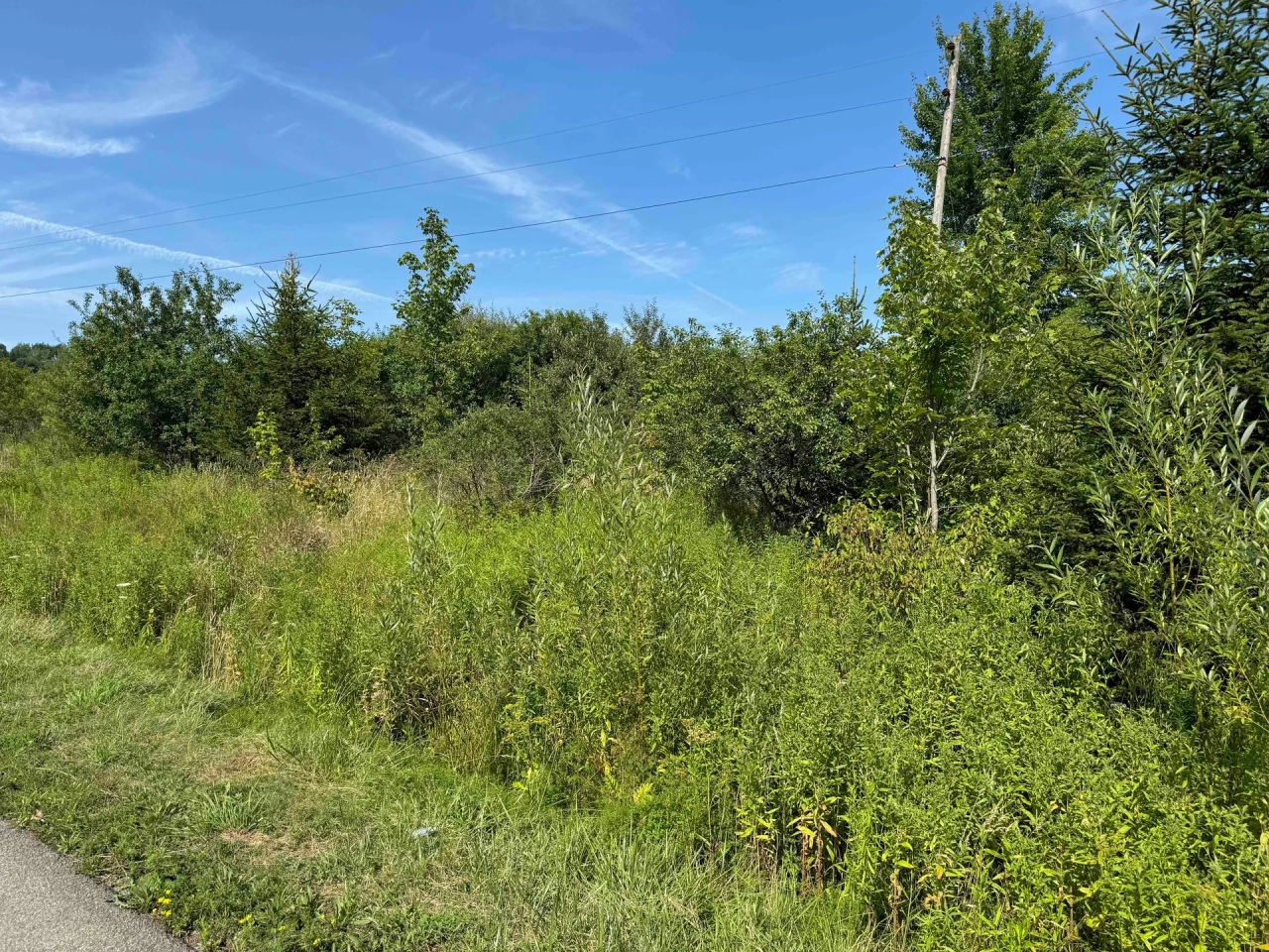 4.3 acres Hunting Land and Recreational Land in Friendship NY White