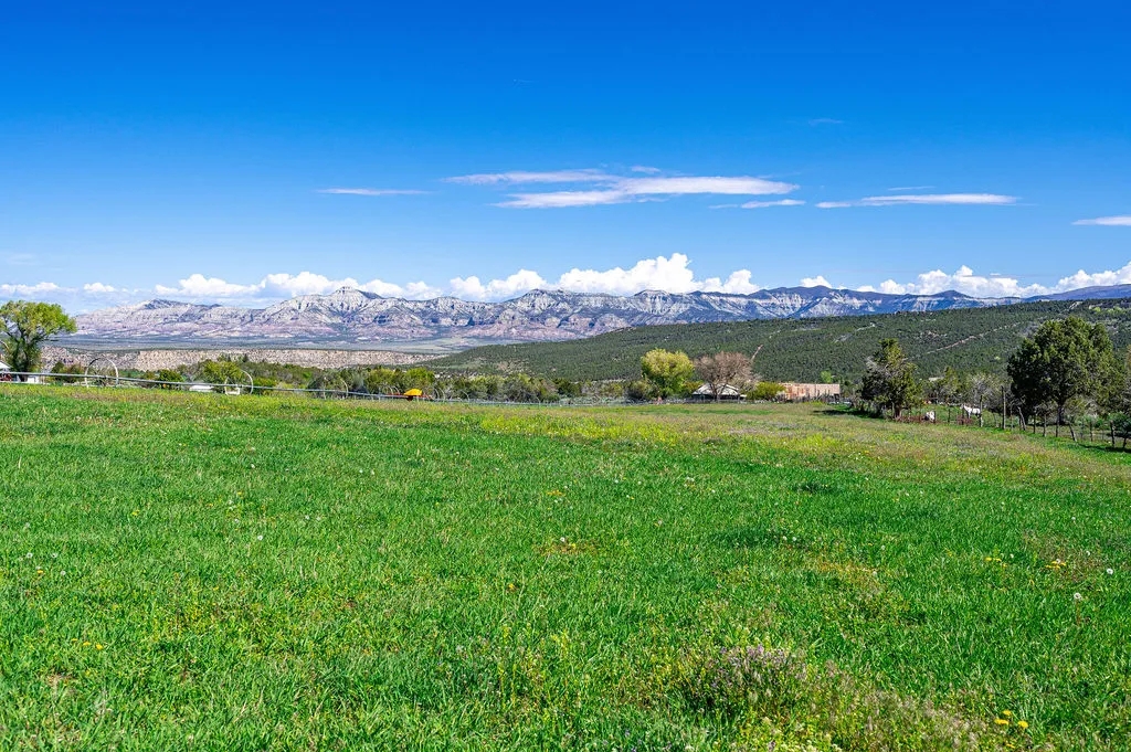 Molina Farm Hunting Land for Sale