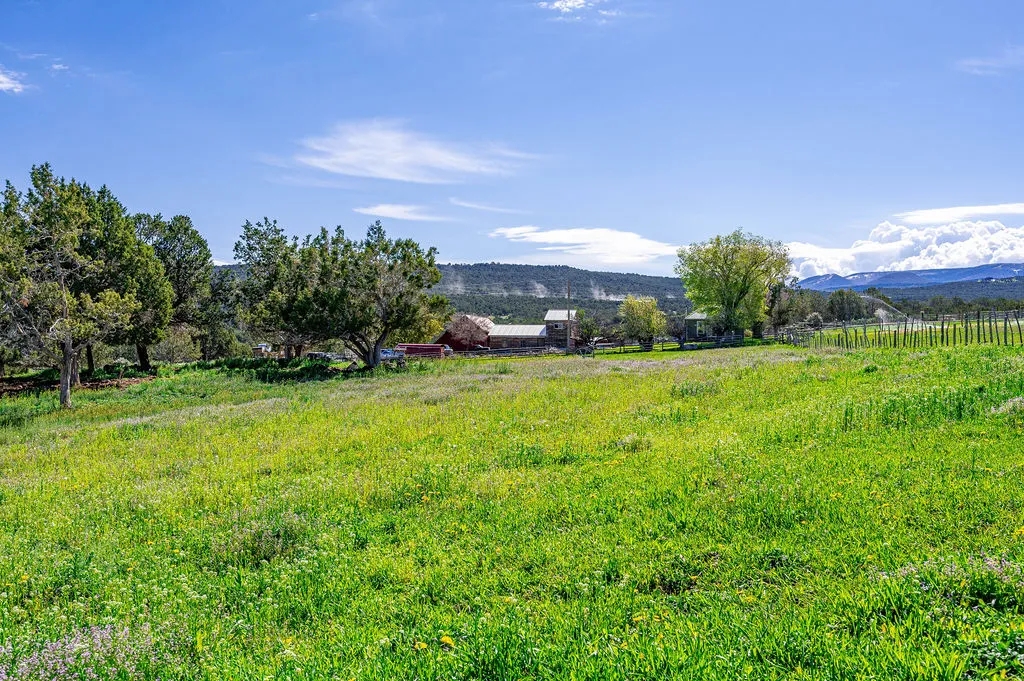 Molina Farm Hunting Land for Sale