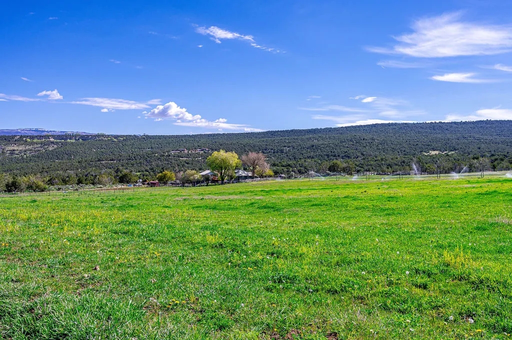 Molina Farm Hunting Land for Sale