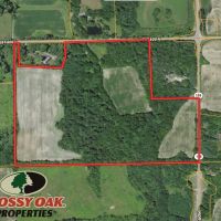52 - ACRES Huntington County Potential Building Sites Hunting Recreational Land for Sale
