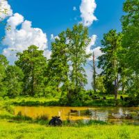 Dolen Ranch images 4