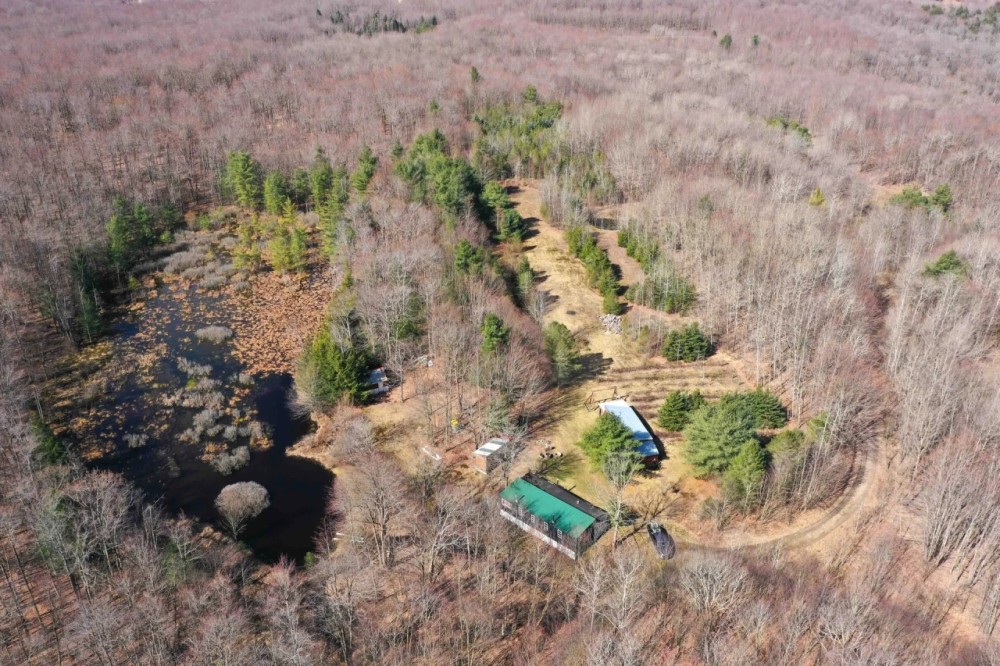 Secluded Camp with Outbuildings and a Pond on 22 acres in Greenwood NY 3614 Leonard Road featured image