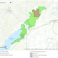 Waterfowl and Deer Hunting, Catahoula NWR of 25,000 acres in Catahoula, LA