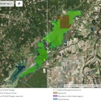 Waterfowl and Deer Hunting, Catahoula NWR of 25,000 acres in Catahoula, LA images 5