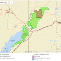 Waterfowl and Deer Hunting, Catahoula NWR of 25,000 acres in Catahoula, LA images 3