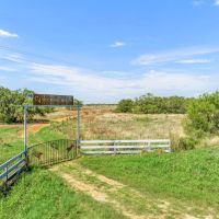 C4 Ranch- 289 Acres Atascosa County images 2
