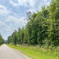 25 Acres FM 2937 C-1 Silsbee Stake images 5