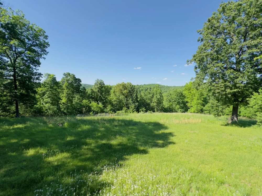 Country Home 833 Acres of Land for Sale in Mount Pleasant Arkansas featured image