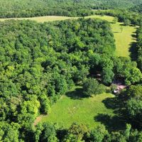 Country Home 833 Acres of Land for Sale in Mount Pleasant Arkansas images 2