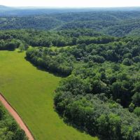 Country Home 833 Acres of Land for Sale in Mount Pleasant Arkansas images 5