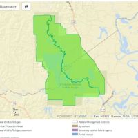 17,500 acres DʻArbonne NWR Waterfowl hunting in West Monroe, LA images 2